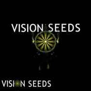Vision Seeds Lucky Dip